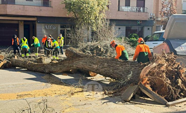 Tomelloso registra 41 avisos por el temporal de viento y se sitúa entre los municipios más afectados de la región