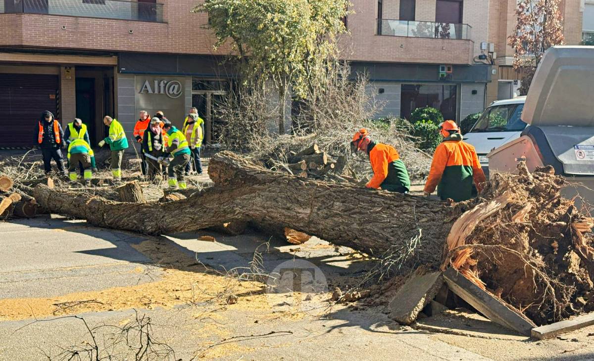 El temporal de viento provoca numerosas incidencias en Tomelloso