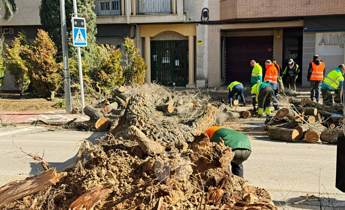 El temporal de viento provoca numerosas incidencias en Tomelloso
