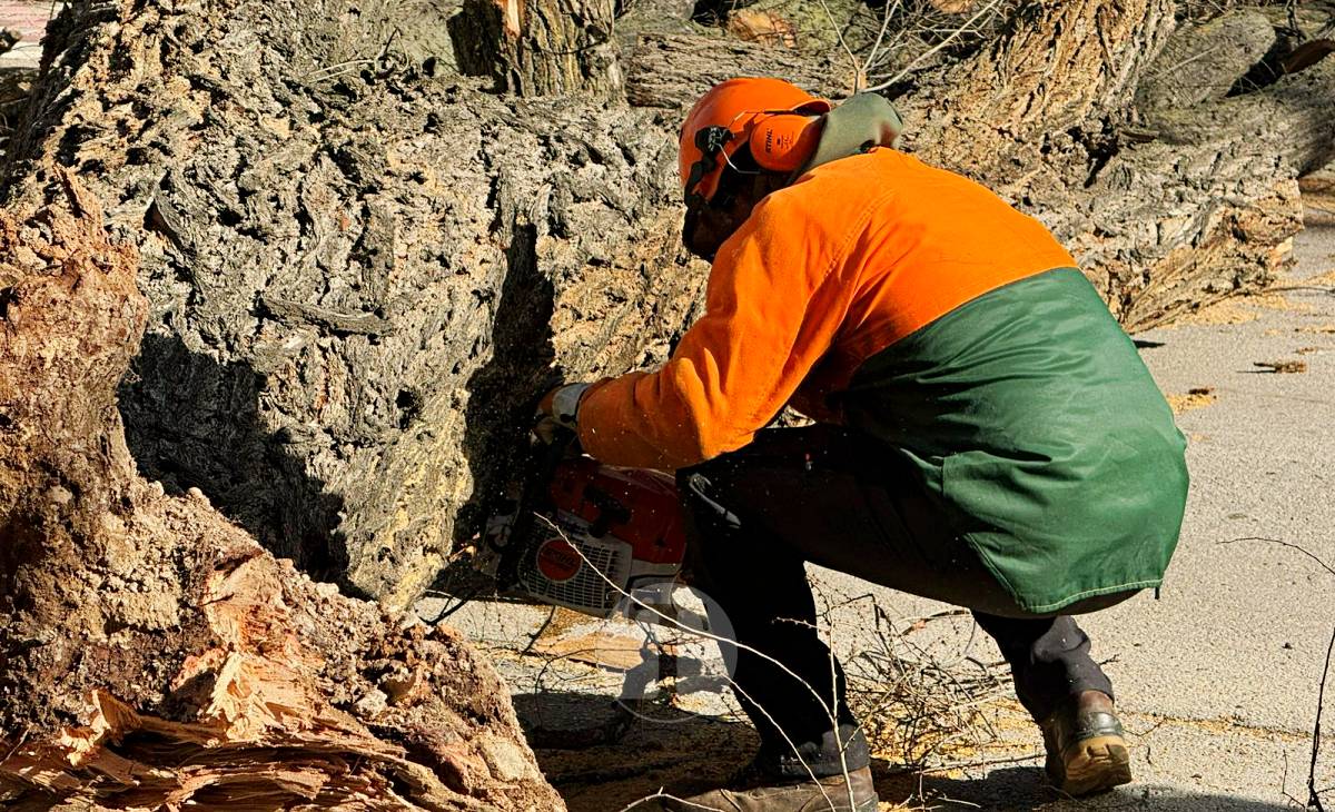 El temporal de viento provoca numerosas incidencias en Tomelloso
