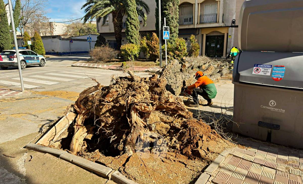 El temporal de viento provoca numerosas incidencias en Tomelloso