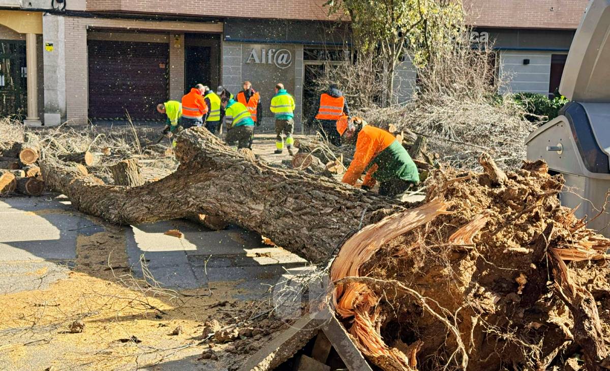 El temporal de viento provoca numerosas incidencias en Tomelloso