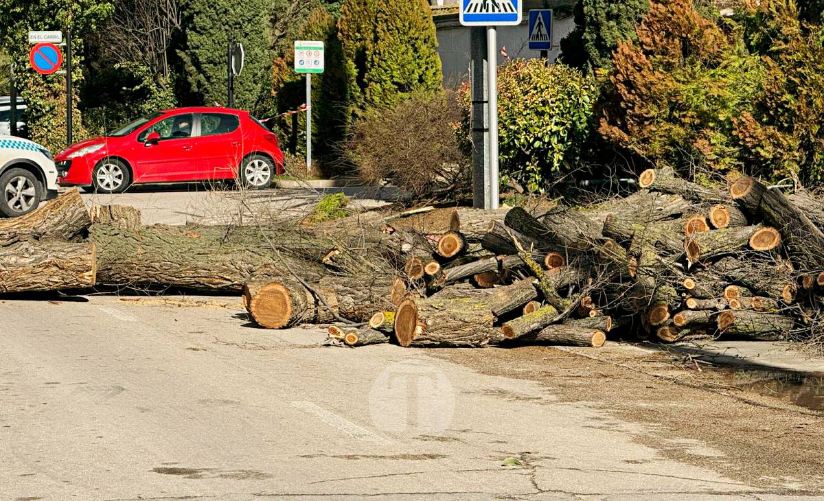 El temporal de viento provoca numerosas incidencias en Tomelloso