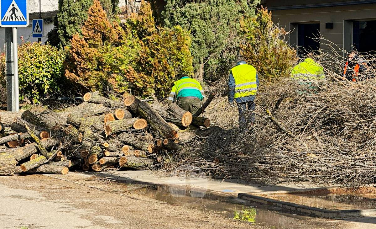 El temporal de viento provoca numerosas incidencias en Tomelloso