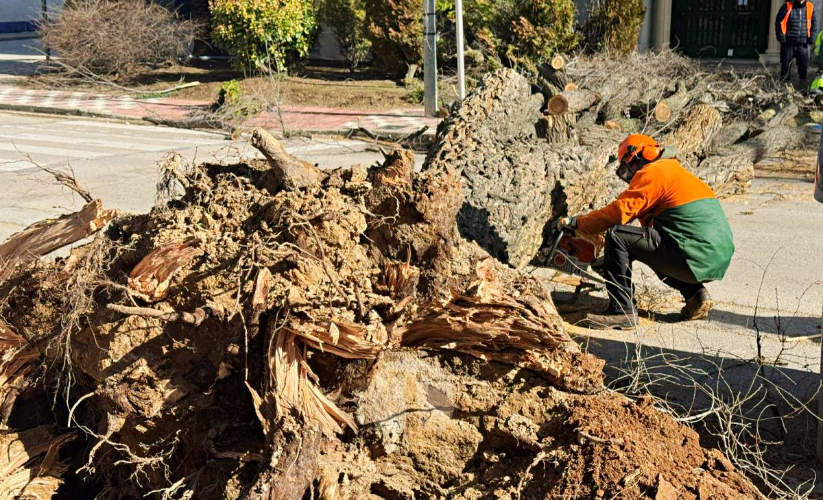 El temporal de viento provoca numerosas incidencias en Tomelloso