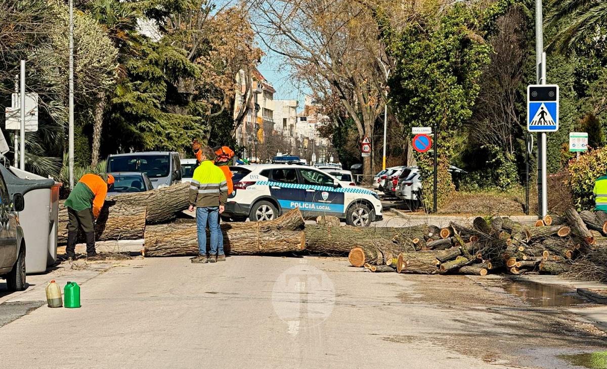 El temporal de viento provoca numerosas incidencias en Tomelloso