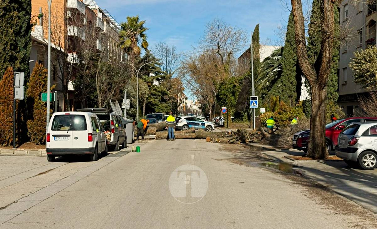 El temporal de viento provoca numerosas incidencias en Tomelloso
