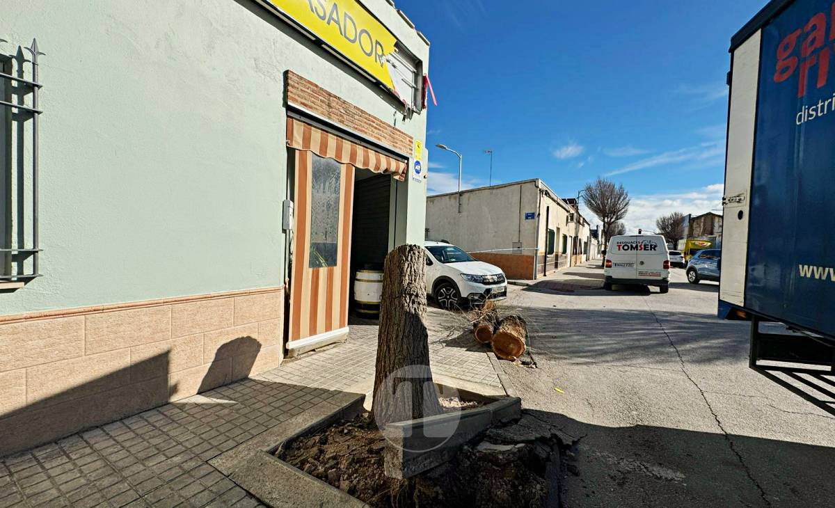 El temporal de viento provoca numerosas incidencias en Tomelloso
