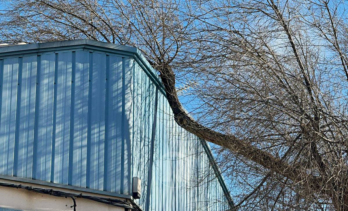 El temporal de viento provoca numerosas incidencias en Tomelloso