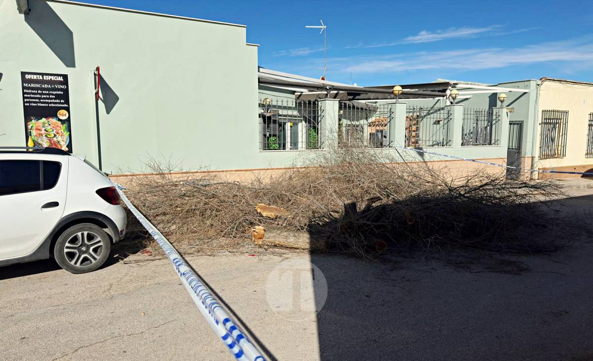 El temporal de viento provoca numerosas incidencias en Tomelloso