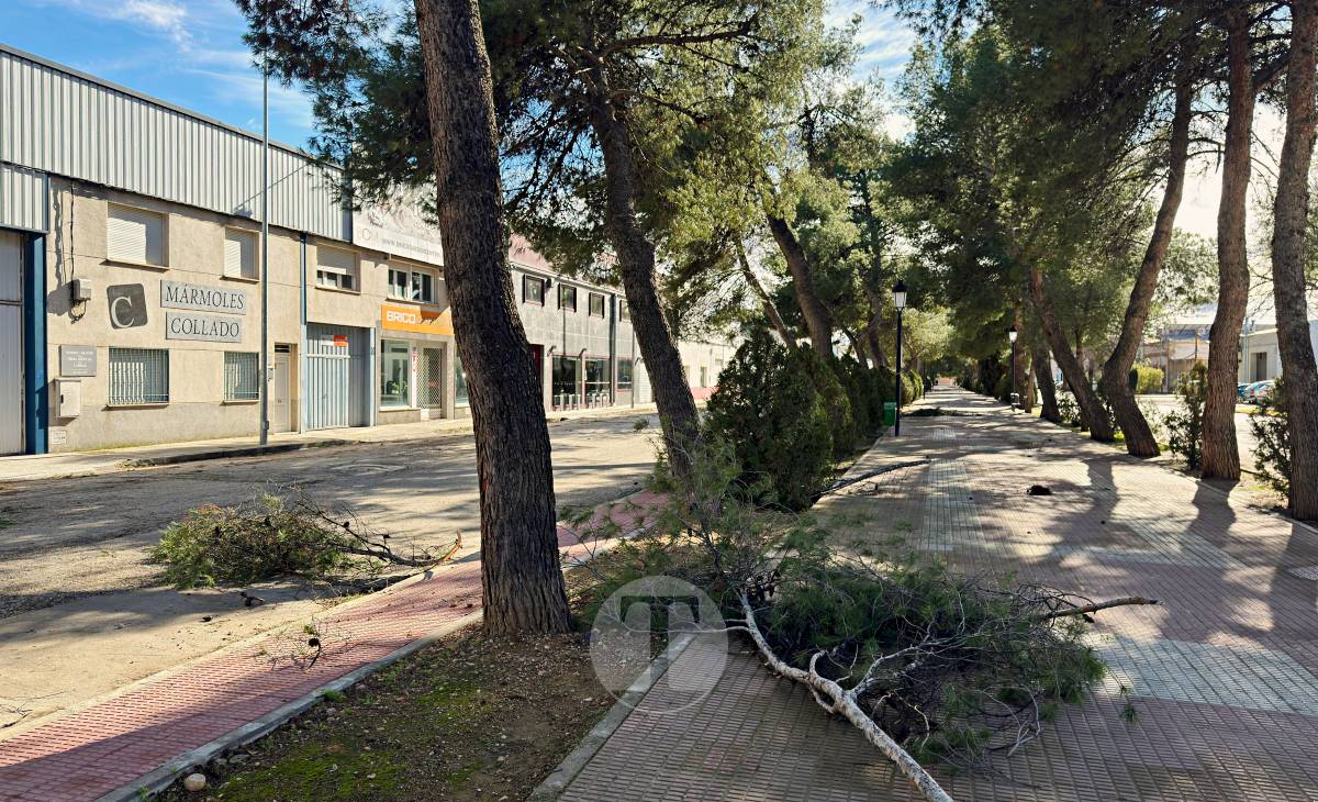 El temporal de viento provoca numerosas incidencias en Tomelloso