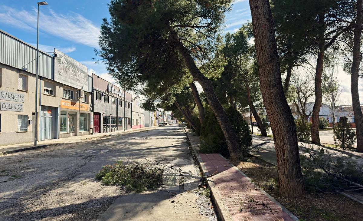 El temporal de viento provoca numerosas incidencias en Tomelloso