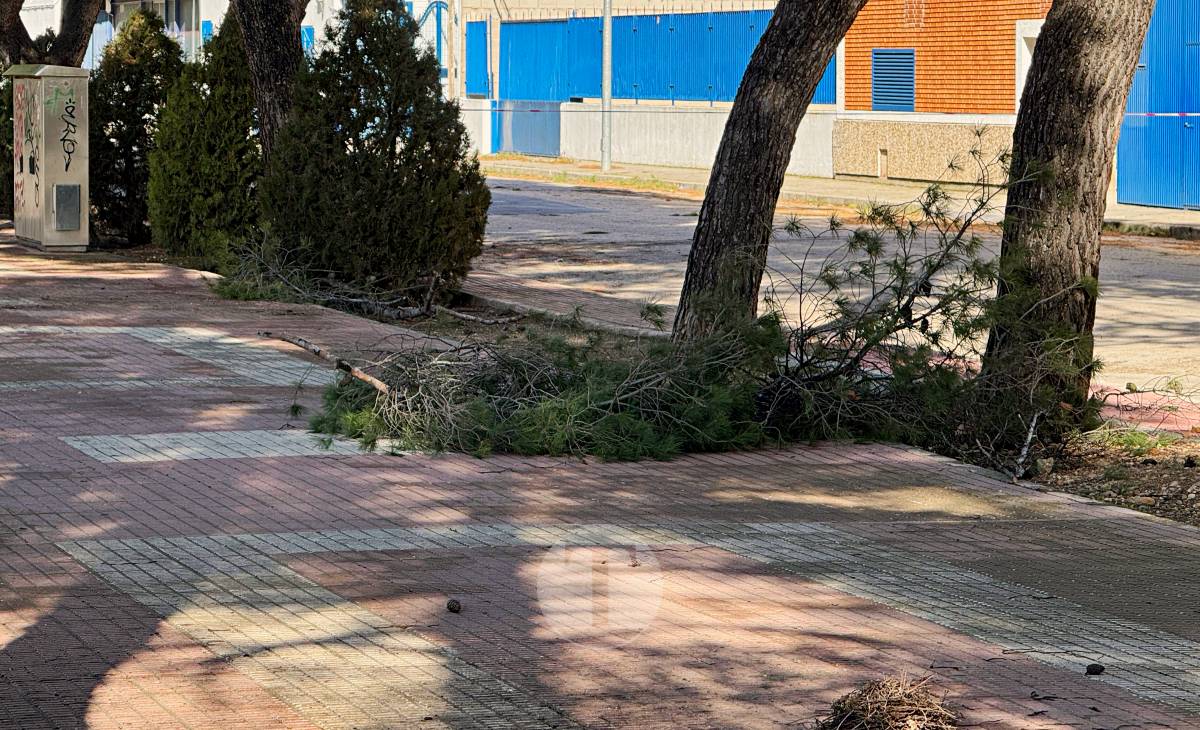 El temporal de viento provoca numerosas incidencias en Tomelloso