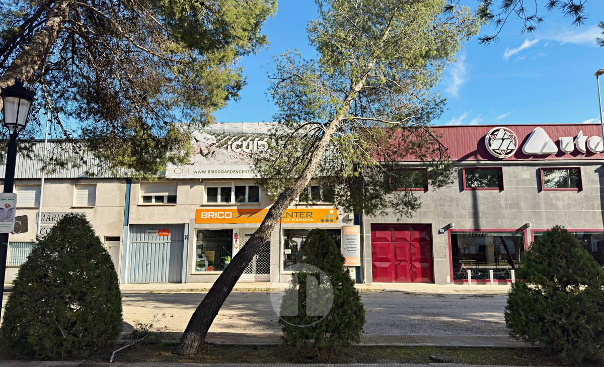 El temporal de viento provoca numerosas incidencias en Tomelloso