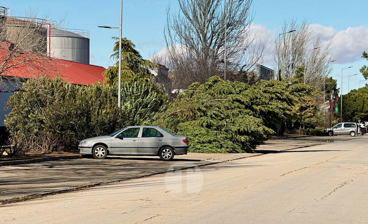 El temporal de viento provoca numerosas incidencias en Tomelloso