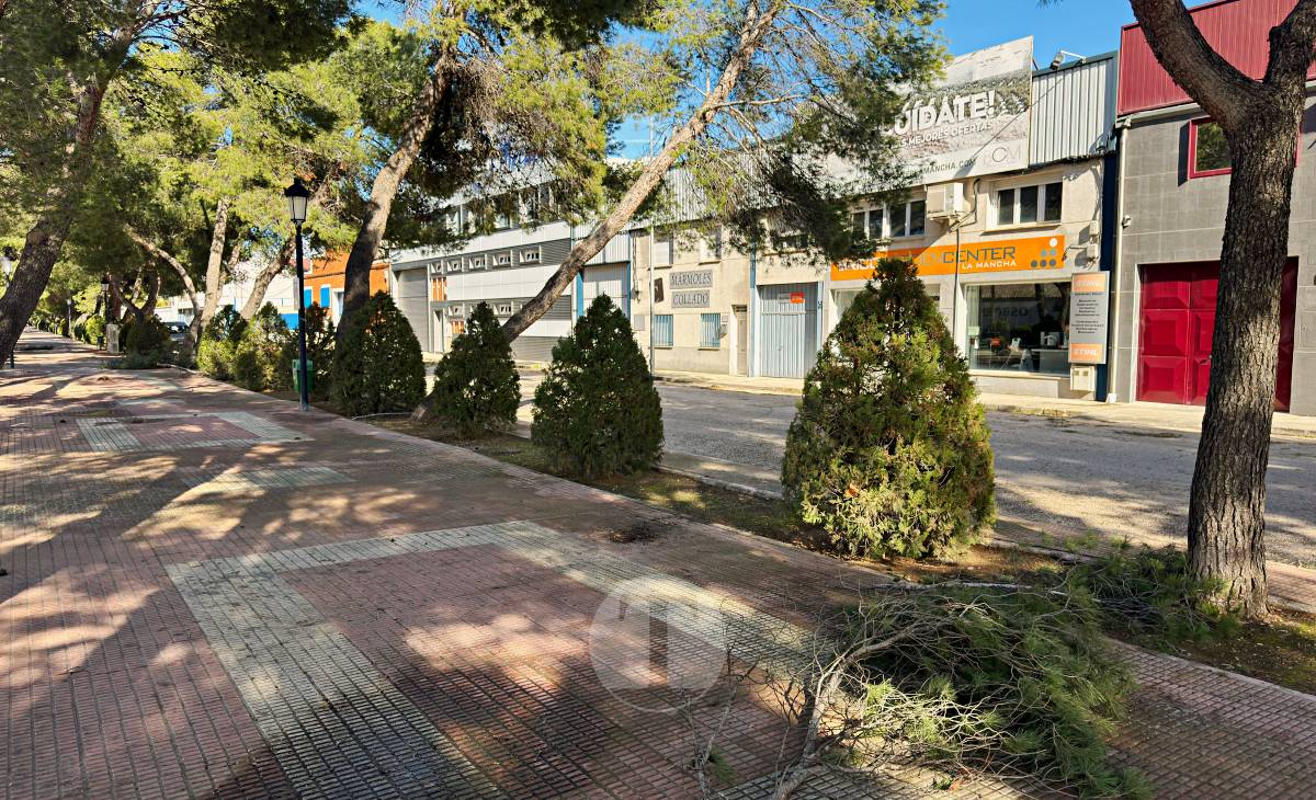 El temporal de viento provoca numerosas incidencias en Tomelloso