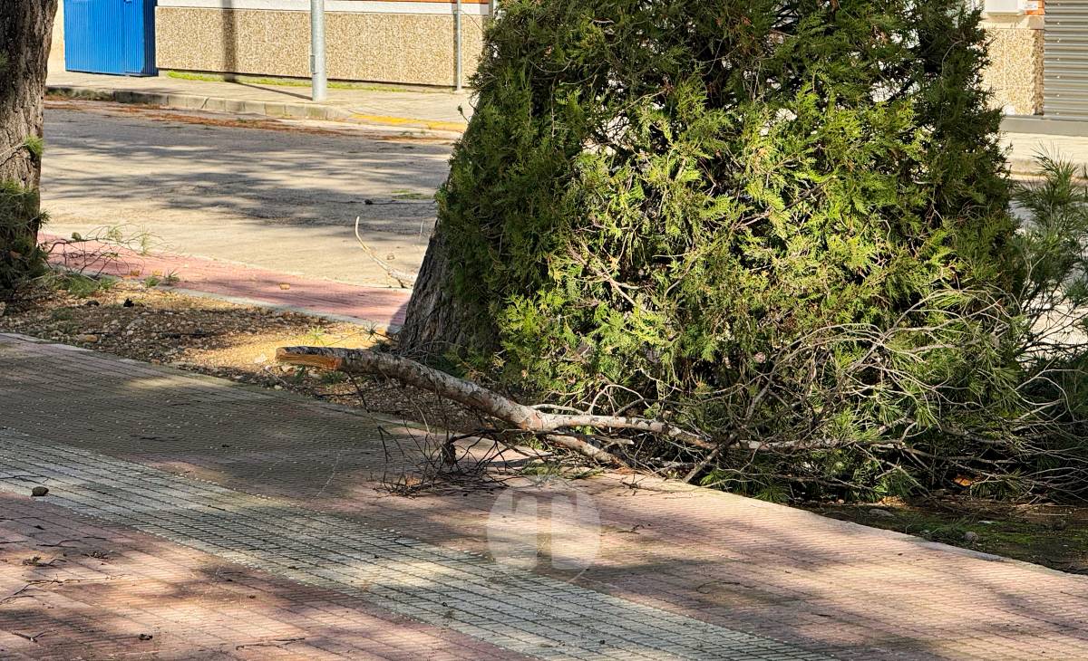 El temporal de viento provoca numerosas incidencias en Tomelloso