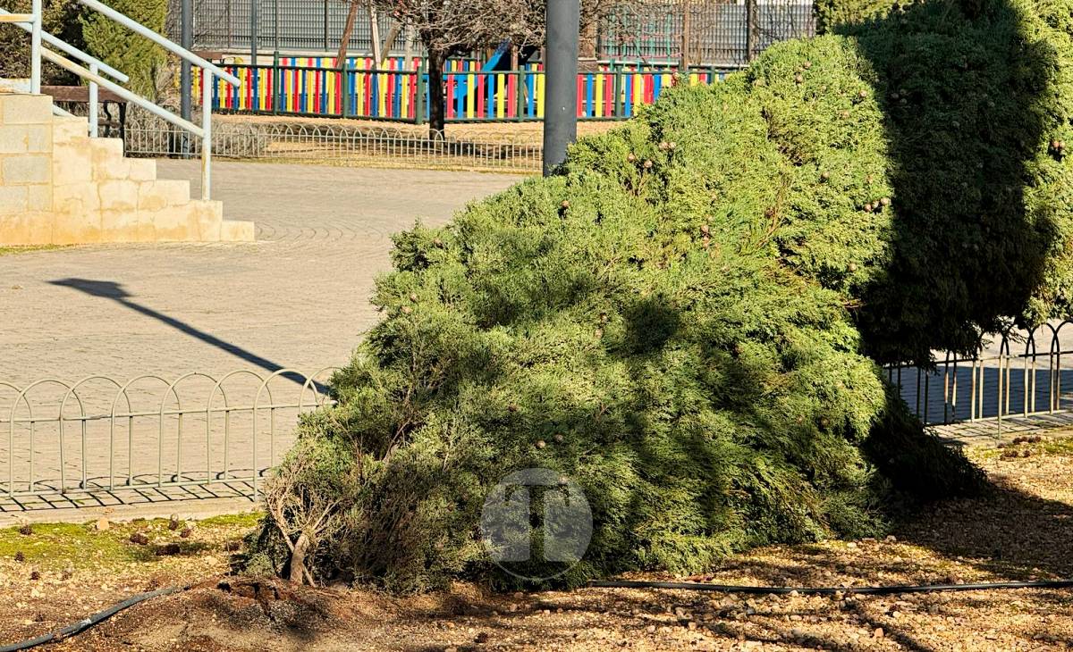 El temporal de viento provoca numerosas incidencias en Tomelloso