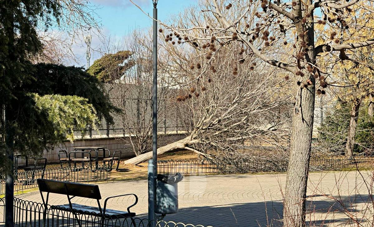 El temporal de viento provoca numerosas incidencias en Tomelloso