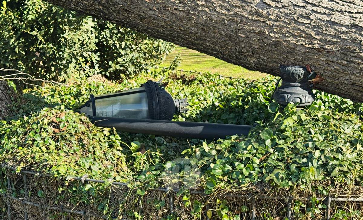 El temporal de viento provoca numerosas incidencias en Tomelloso