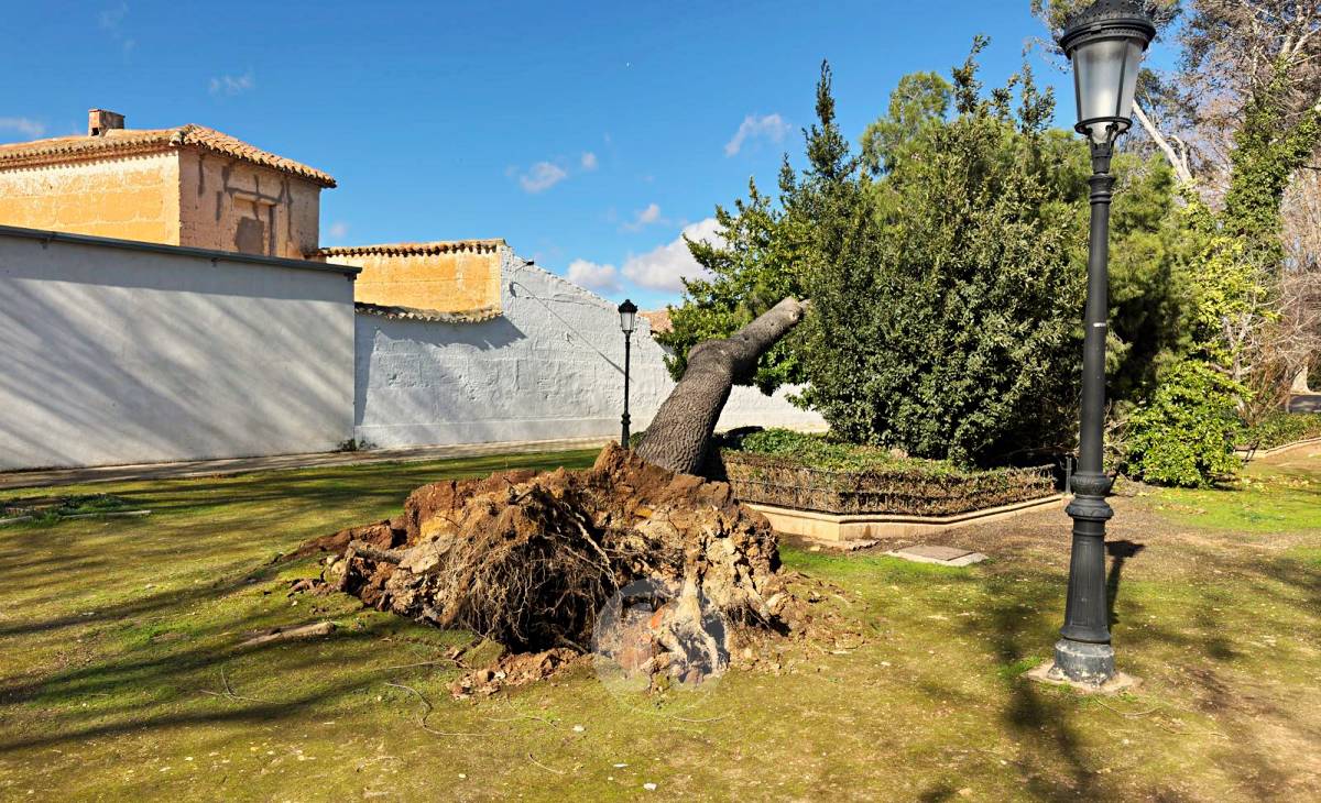 El temporal de viento provoca numerosas incidencias en Tomelloso
