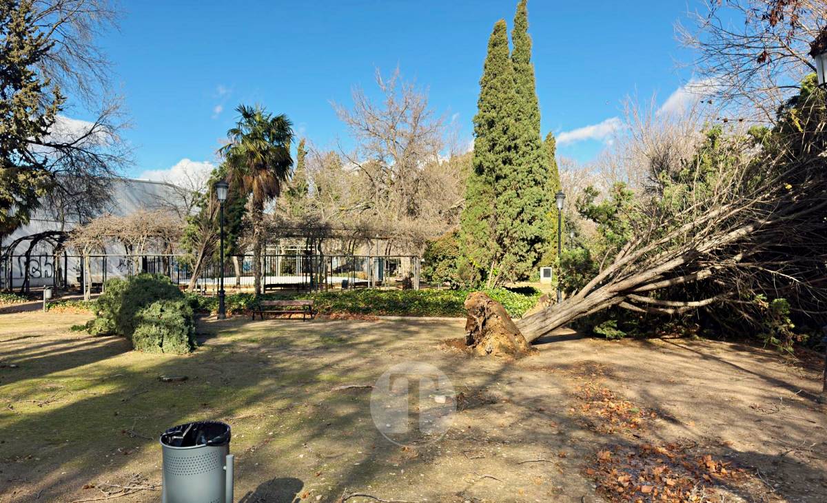 El temporal de viento provoca numerosas incidencias en Tomelloso