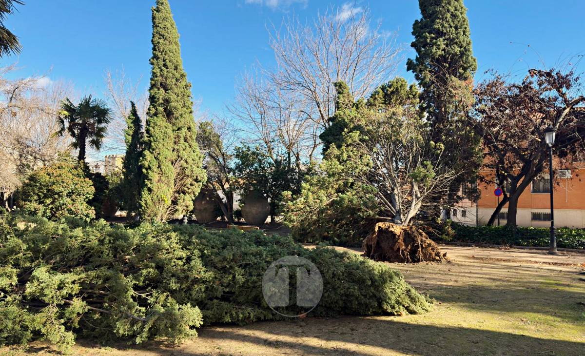 El temporal de viento provoca numerosas incidencias en Tomelloso