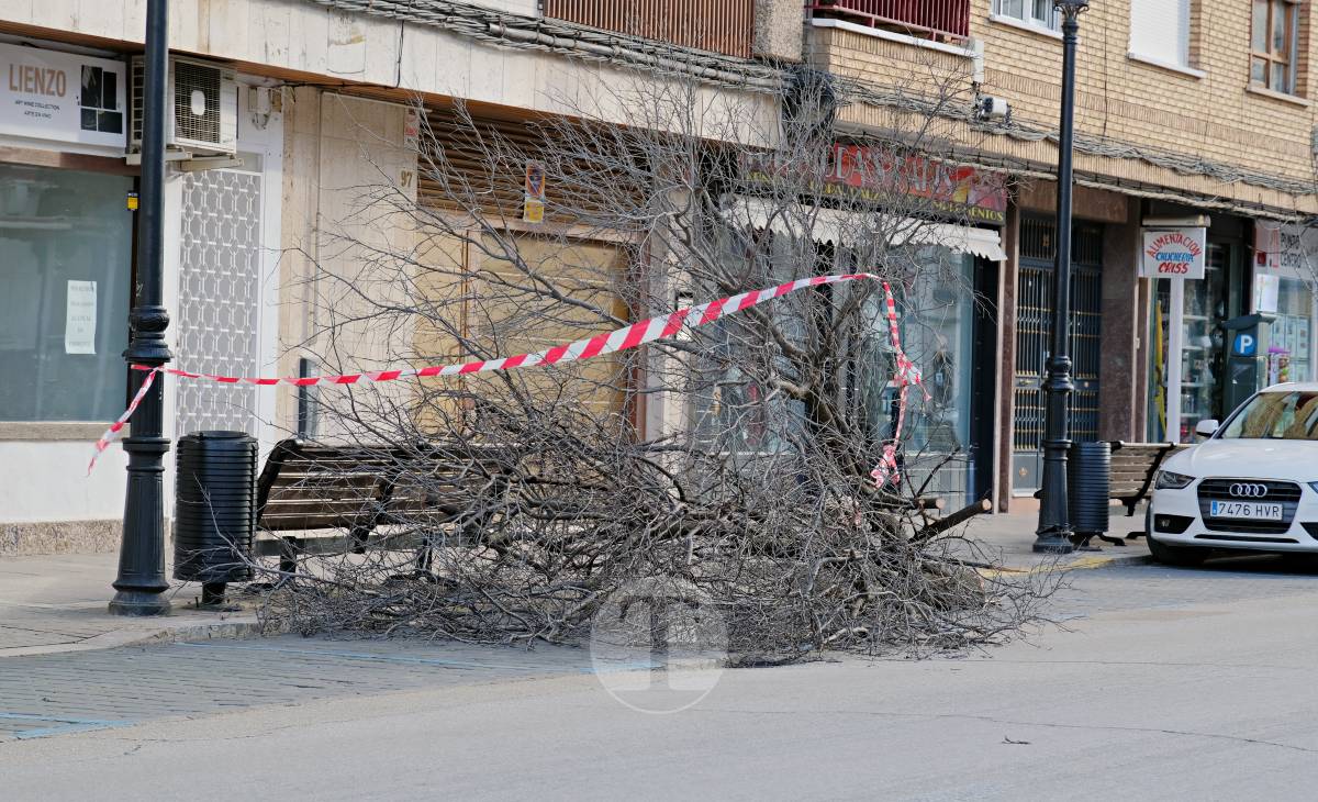 Tomelloso registra 41 avisos por el temporal de viento y se sitúa entre los municipios más afectados de la región