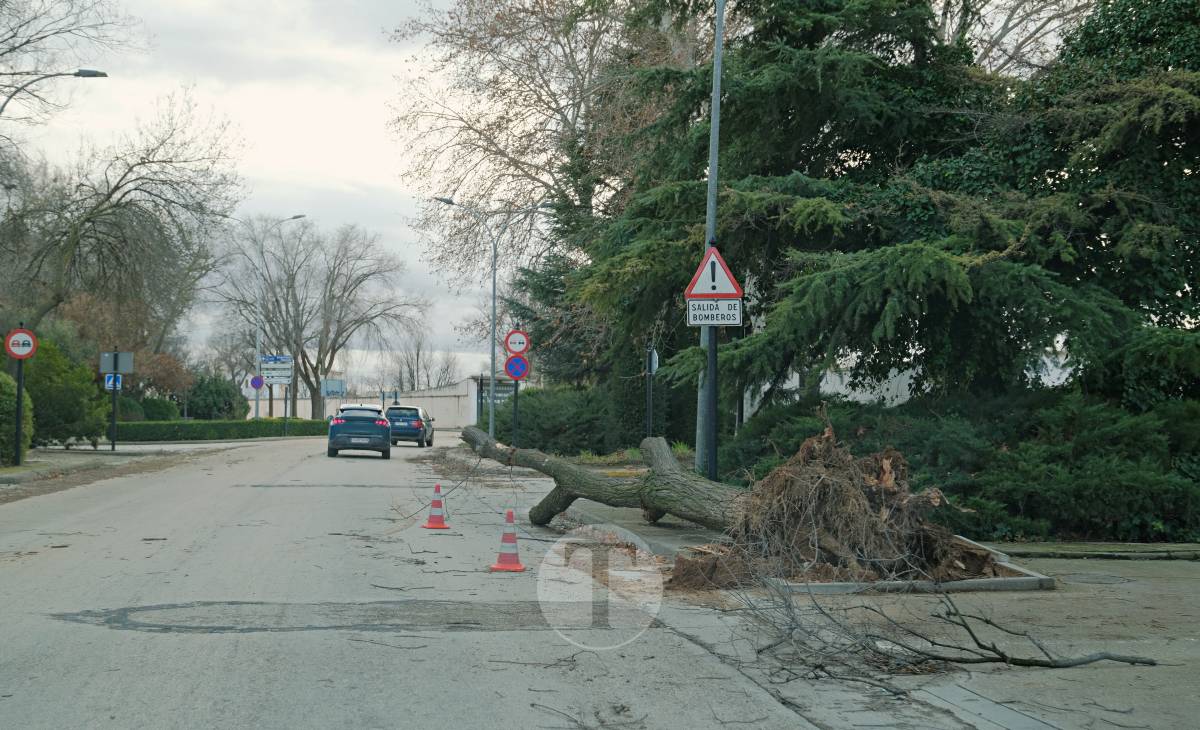 Tomelloso registra 41 avisos por el temporal de viento y se sitúa entre los municipios más afectados de la región
