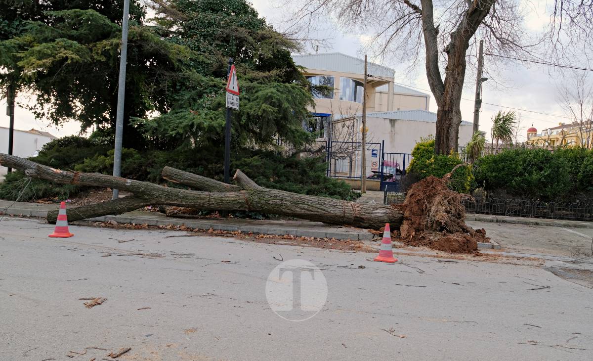 Tomelloso registra 41 avisos por el temporal de viento y se sitúa entre los municipios más afectados de la región