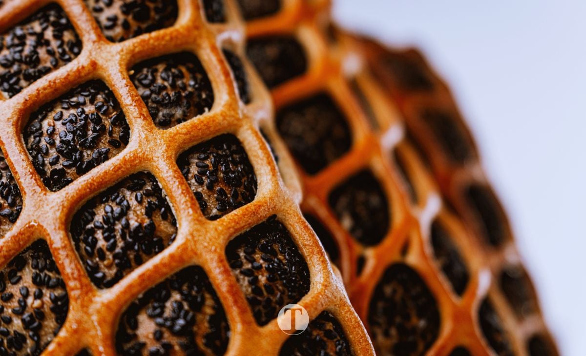 El panadero de Tomelloso que marca el camino de la Selección Española en Madrid Fusión 2026