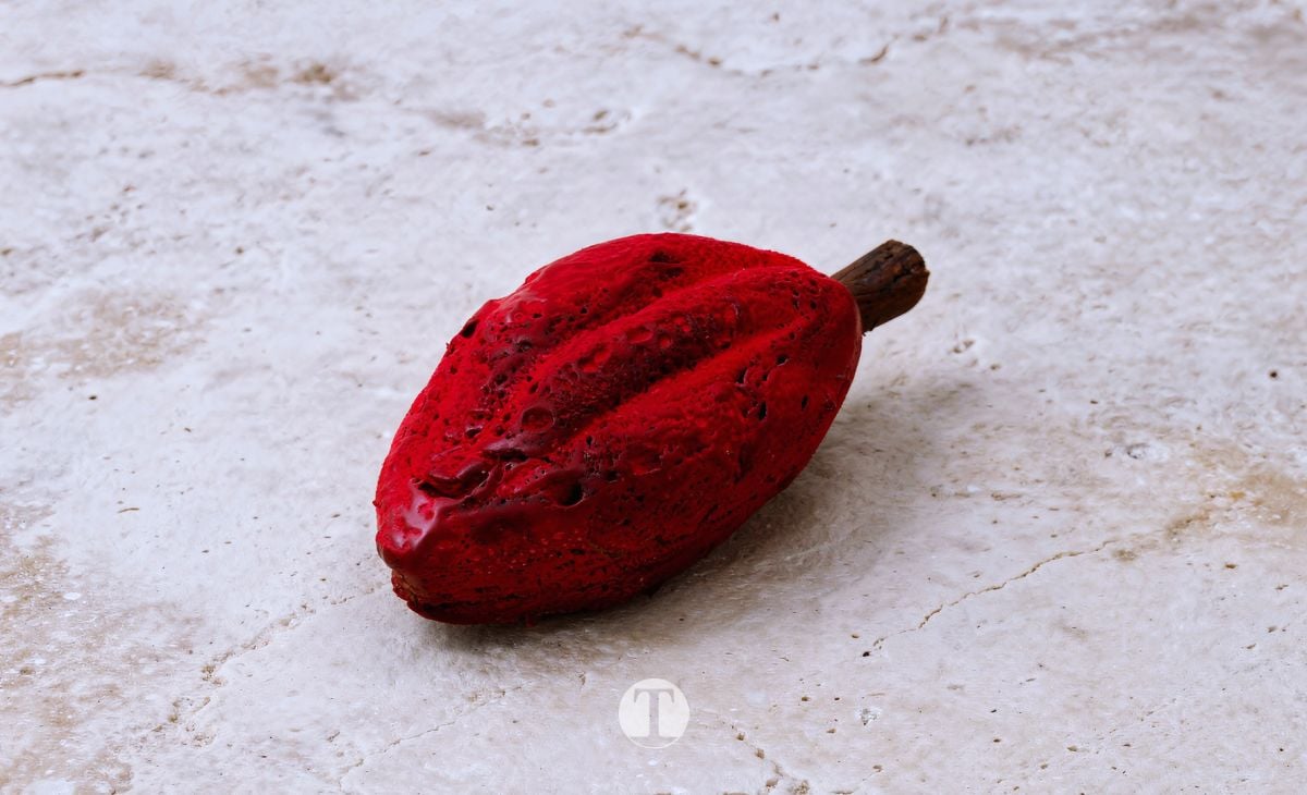 El panadero de Tomelloso que marca el camino de la Selección Española en Madrid Fusión 2026