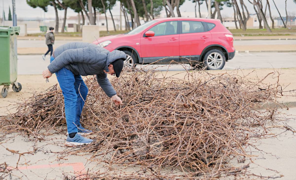 Tomelloso celebra la mañana de San Antón entre frío y lluvia