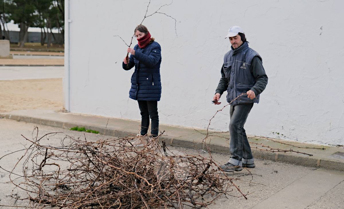 Tomelloso celebra la mañana de San Antón entre frío y lluvia