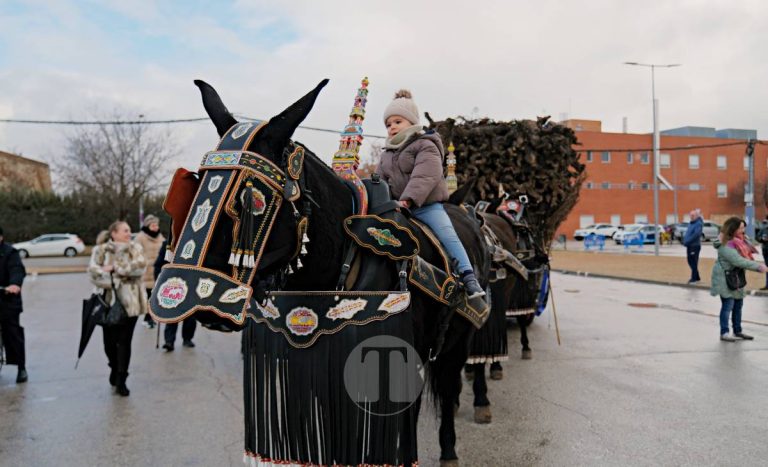 Tomelloso celebra la mañana de San Antón entre frío y lluvia