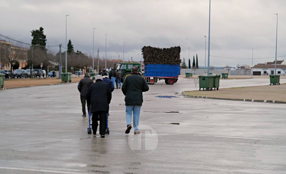 Tomelloso celebra la mañana de San Antón entre frío y lluvia