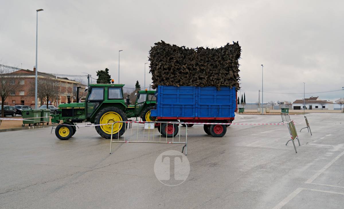 Tomelloso celebra la mañana de San Antón entre frío y lluvia