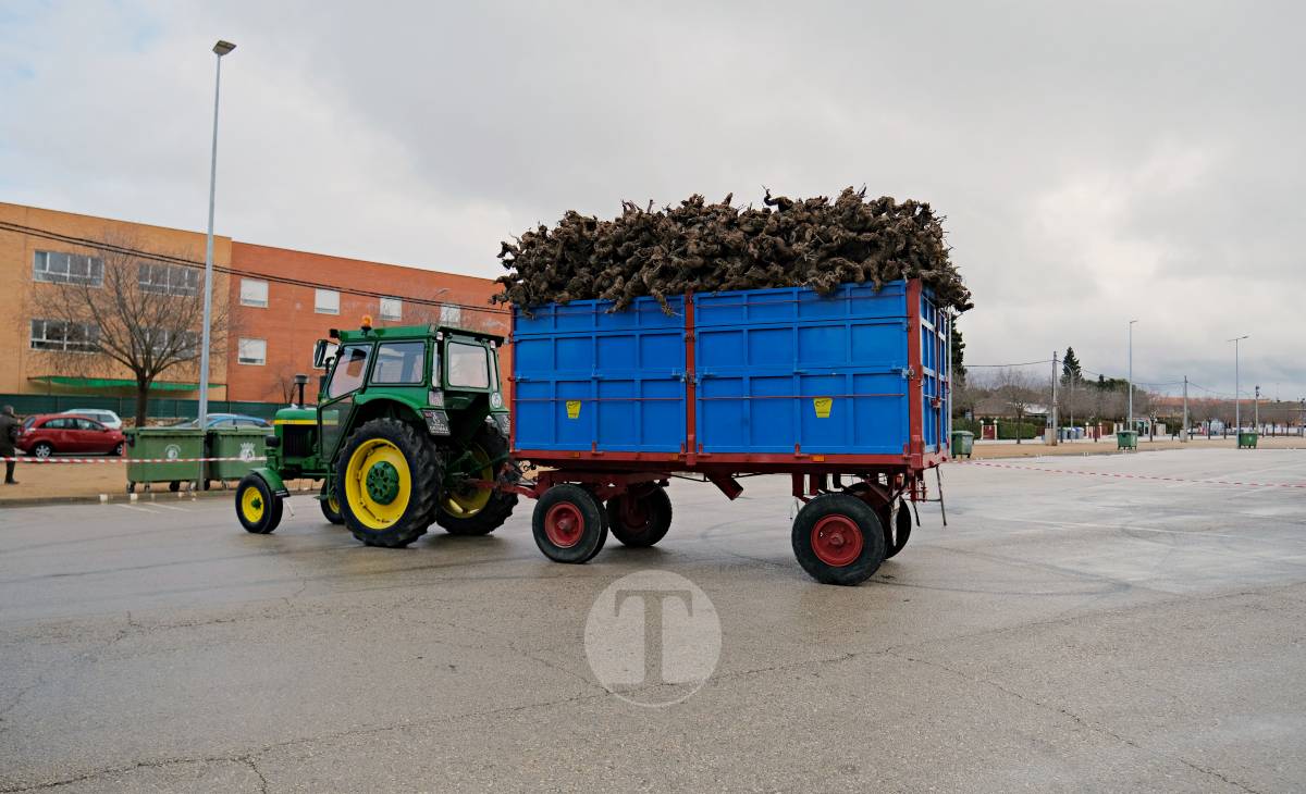 Tomelloso celebra la mañana de San Antón entre frío y lluvia