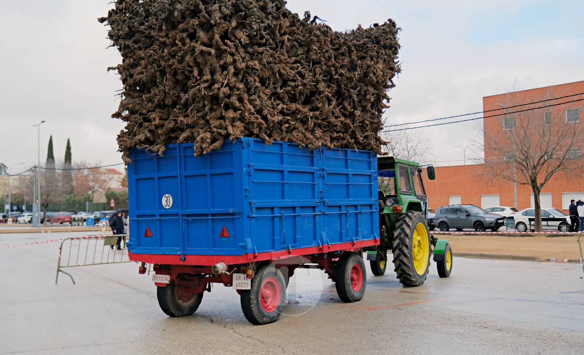 Tomelloso celebra la mañana de San Antón entre frío y lluvia