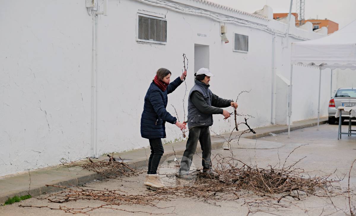 Tomelloso celebra la mañana de San Antón entre frío y lluvia