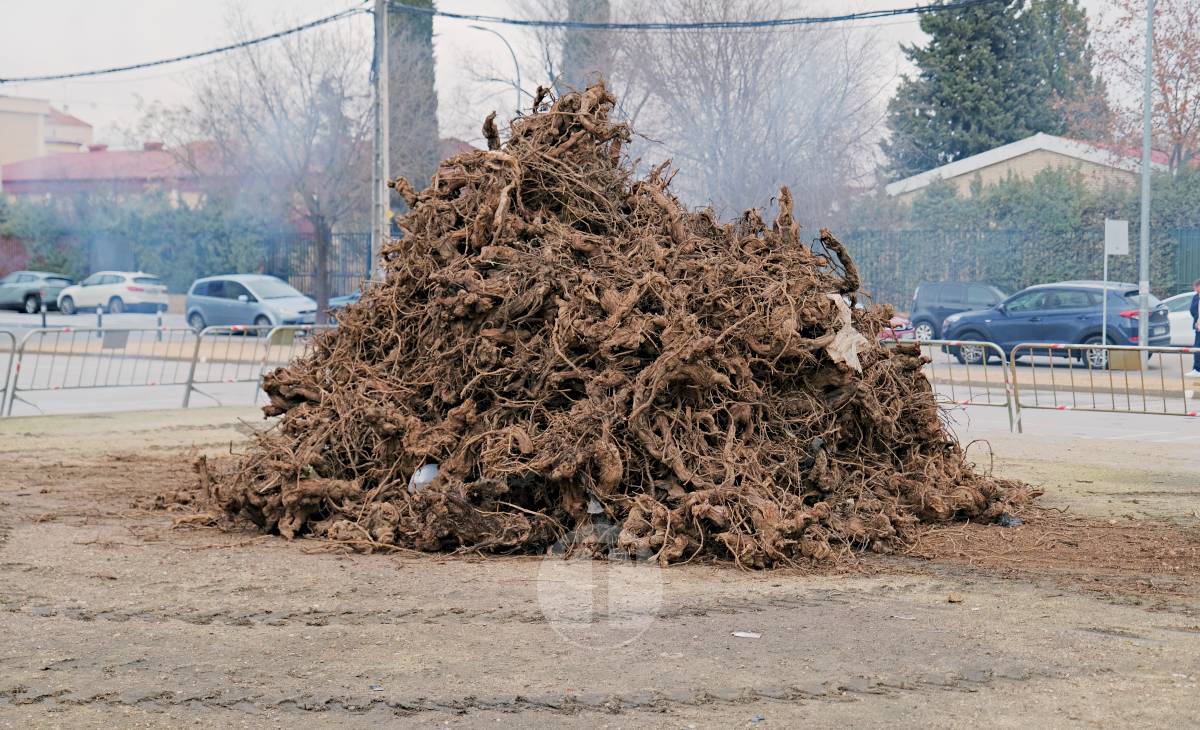 Tomelloso celebra la mañana de San Antón entre frío y lluvia