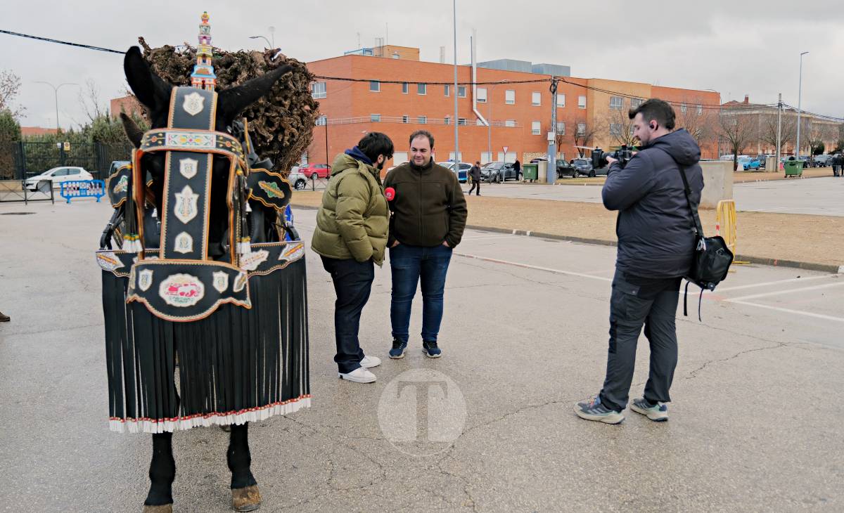 Tomelloso celebra la mañana de San Antón entre frío y lluvia