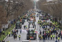 Agricultores y ganaderos saldrán a las calles a finales de enero por la PAC y Mercosur