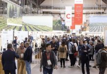 75 bodegas de C-LM participarán en la Barcelona Wine Week