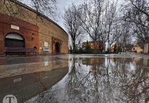 ¡Cómo ha venido Kristin!