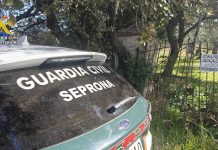 Detectan en Ciudad Real la dispensación irregular de medicamentos recetados por un veterinario investigado en Córdoba