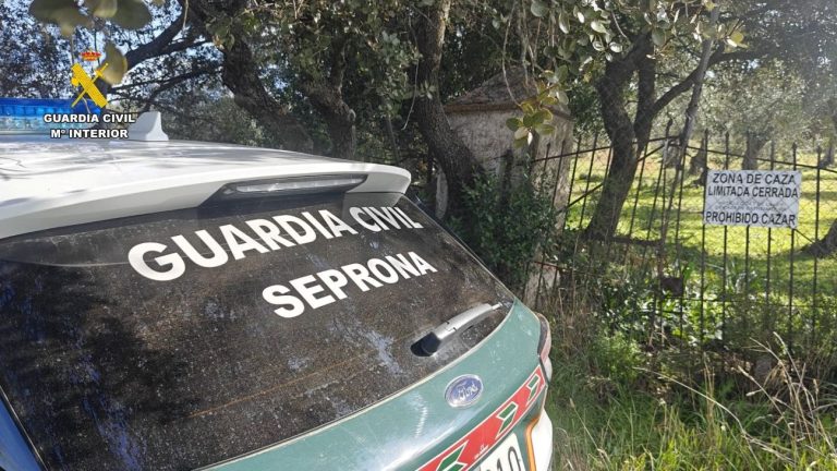 Detectan en Ciudad Real la dispensación irregular de medicamentos recetados por un veterinario investigado en Córdoba