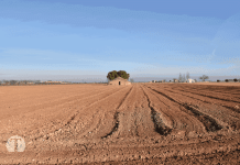 300 de «Una foto a la Semana»