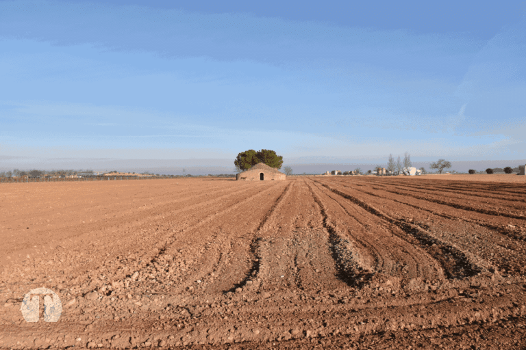 300 de «Una foto a la Semana»