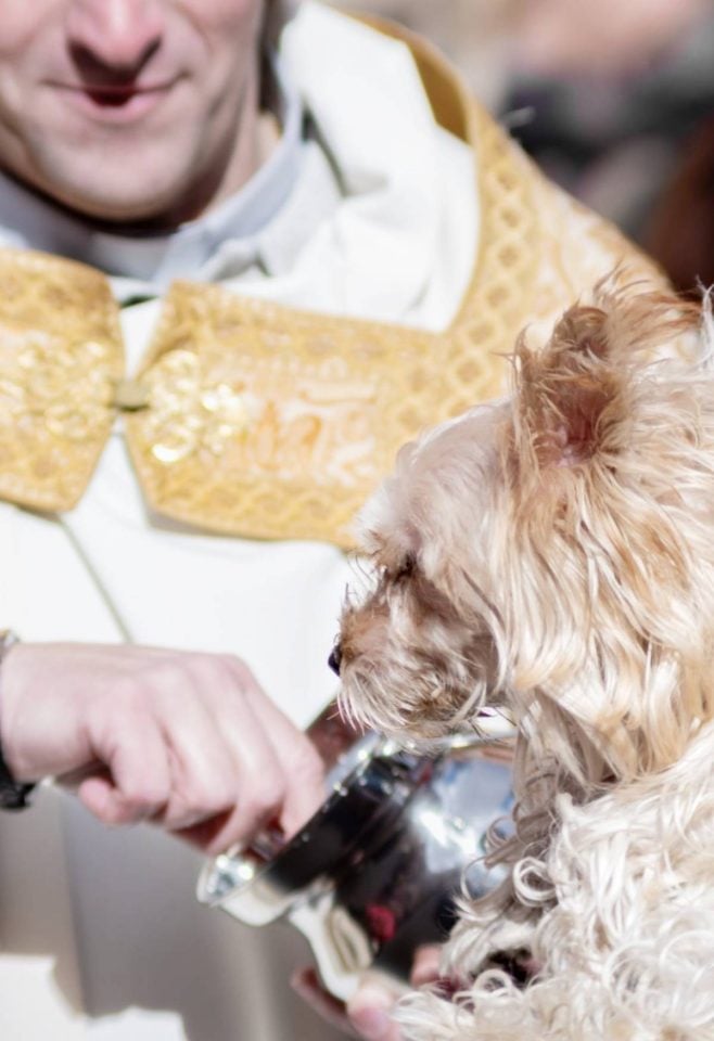 Segundo Premio: Irina Migallón